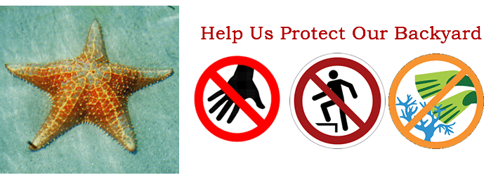 Help us protect the sea life